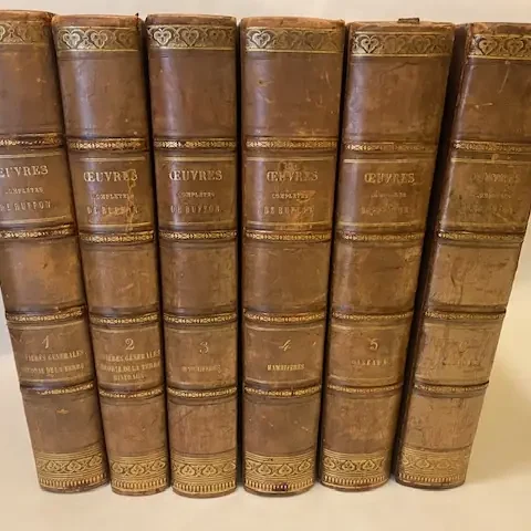 Oeuvres de Buffon avec des extraits de Daubenton et la classification de Cuvier. I-(VI).