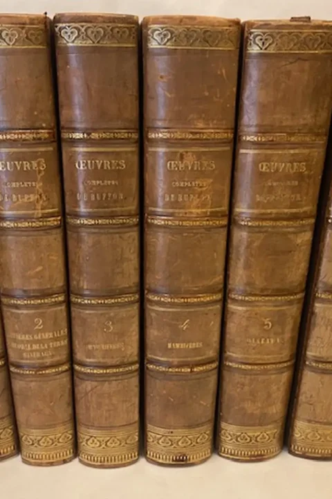 Oeuvres de Buffon avec des extraits de Daubenton et la classification de Cuvier. I-(VI).