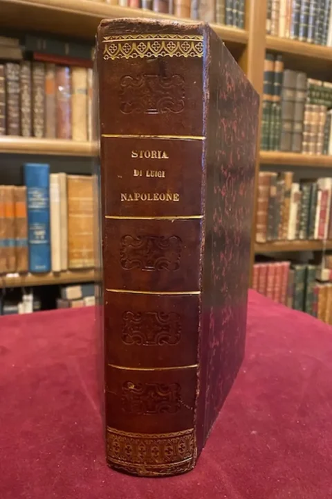 Storia della vita aneddota, politica e privata di Luigi Napoleone continuata sino alla fine della Guerra d'Oriente.