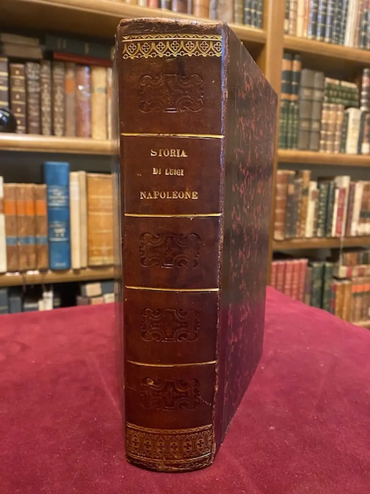 Storia della vita aneddota, politica e privata di Luigi Napoleone continuata sino alla fine della Guerra d'Oriente.