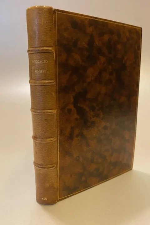 Fiammetta di Giovanni Boccacio.