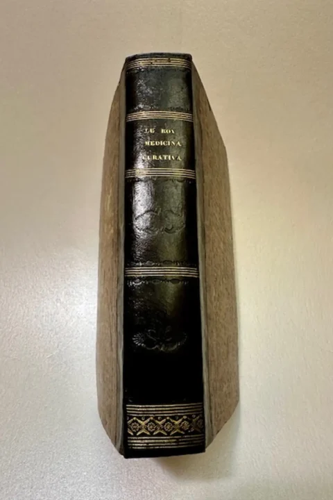 La medicina curativa o sia la purgazione diretta a togliere la causa delle malattie, riconosciuta ed analizzata in quest'opera e comprovata dai fatti.