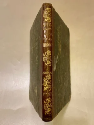 Storia della colonna infame.