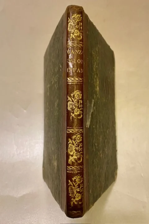 Storia della colonna infame.