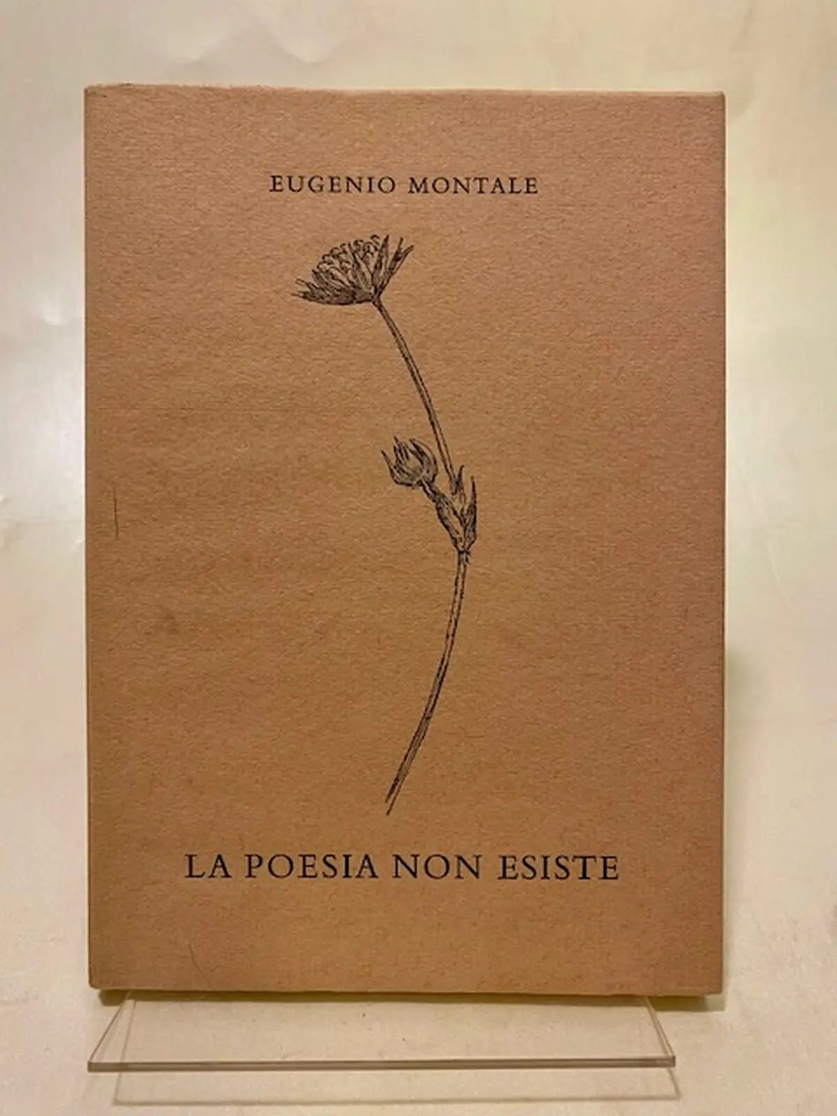 La poesia non esiste La poesia non esiste.
