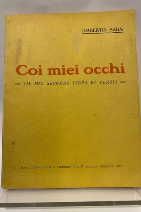 Coi miei occhi, “Il mio secondo libro di versi”. (INVIO AUTOGRAFO)