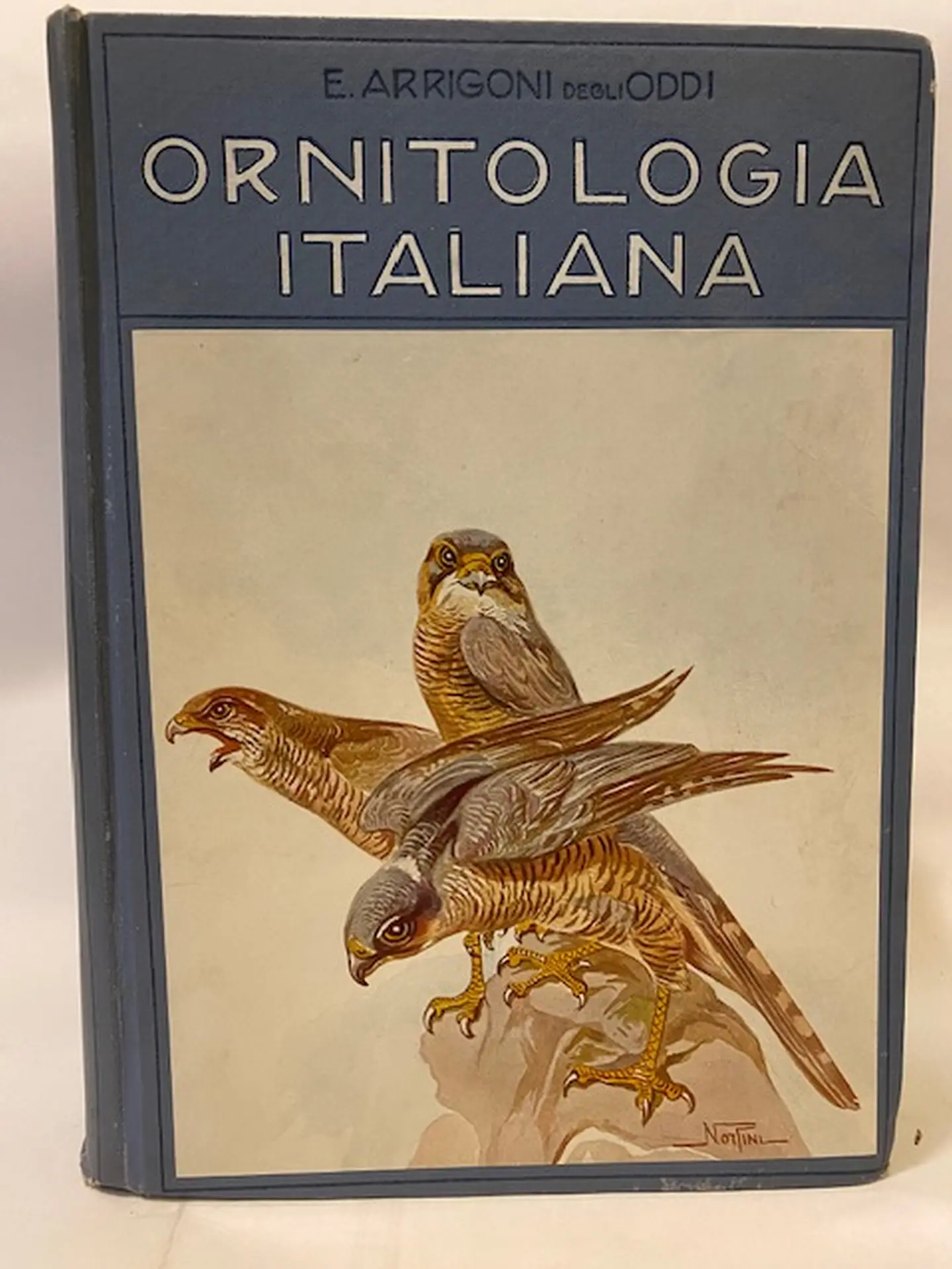 Ornitologia italiana. Con 586 incisioni nel testo e 36 tavole colorate fuori testo.  