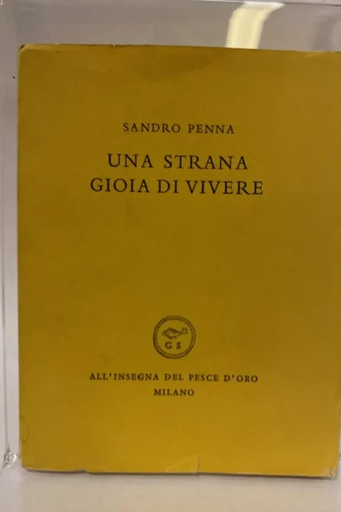 Una strana gioia di vivere.