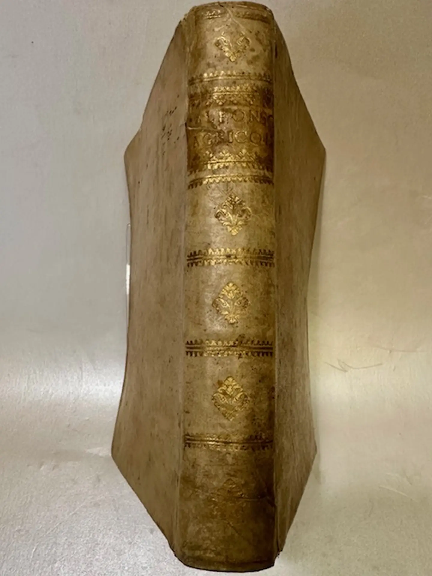 Della Agricoltura tratta da diversi scrittori et tradotta di lingua spagnuola in italiana. Nellaa quale si contengono le regole, i modi, & l'usanze che si ossruano nell'arare la terra, & piantar le vigne, & gli alberi, gouernare i bestiami, & fare ottimamente cioche all'agricoltura s'appartiene Della Agricoltura tratta da diversi scrittori et tradotta di lingua spagnuola in italiana. Nellaa quale si contengono le regole, i modi, & l'usanze che si ossruano nell'arare la terra, & piantar le vigne, & gli alberi, gouernare i bestiami, & fare ottimamente cioche all'agricoltura s'appartiene.