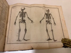 L'Anatomie D'Heister Avec Des Essais De Physique, sur L'Usage Des Parties Du Corps Humain, & sur le Mechanism de Leurs Mouvements.