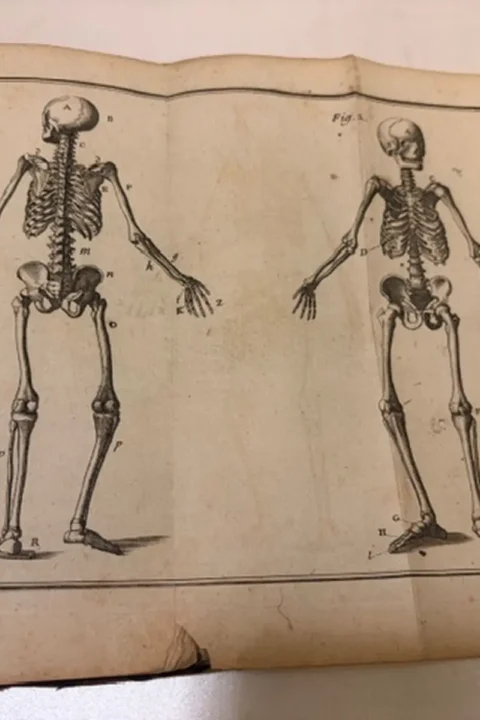 L'Anatomie D'Heister Avec Des Essais De Physique, sur L'Usage Des Parties Du Corps Humain, & sur le Mechanism de Leurs Mouvements.