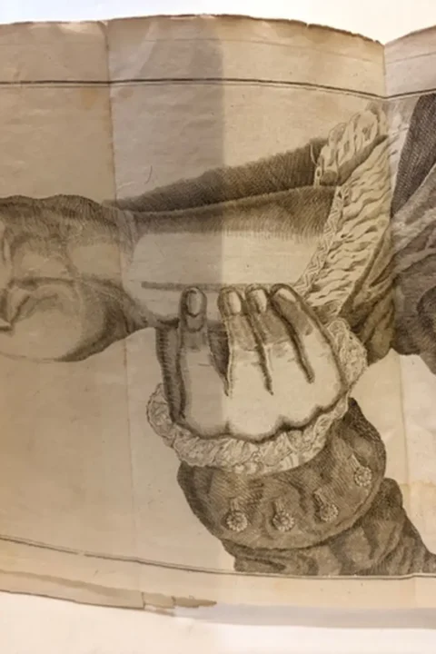 Gli elementi dell'arte sfygmica, ossia la dottrina del polso ricavata dall'antica, e moderna storia della medicina chinese, ed europea, indi combinata, e ridotta a regole non meno sicure che facili dal dottor Carlo Gandini e dedicata al serenissimo doge Giambattista Negroni
